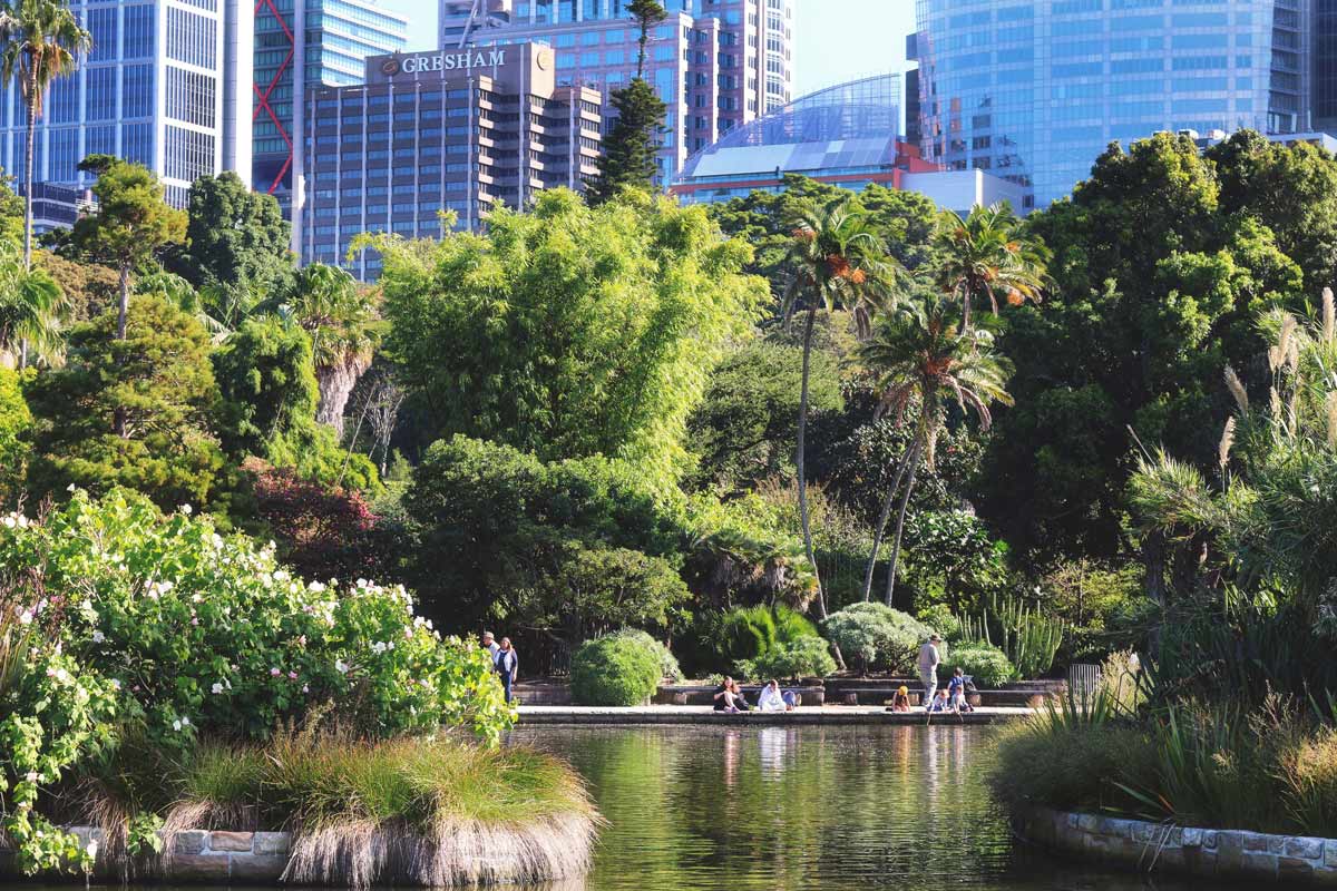 Royal Botanic Garden