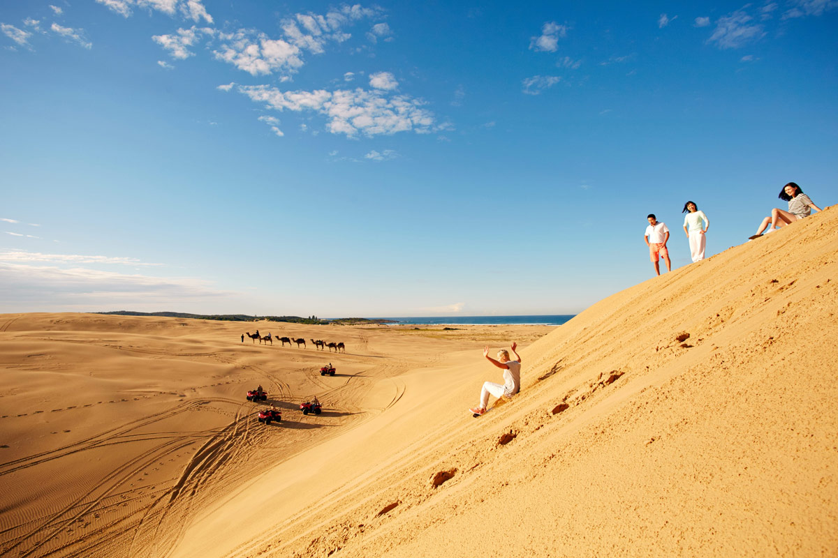 Stockton Beach and Dune